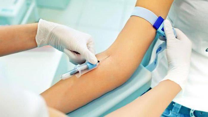 Mastering the Role of a Blood Draw Technician: Essential Skills, Certification Tips, and Career Insights